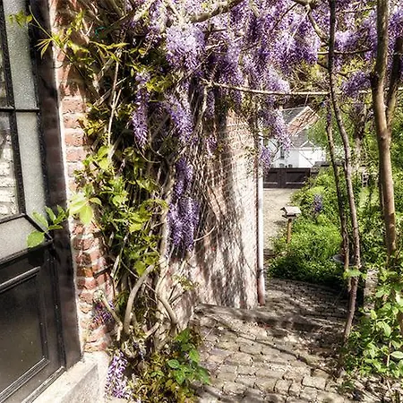 Aux Quatre Bonniers ベッド・アンド・ブレックファスト Olne